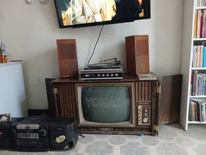 Television