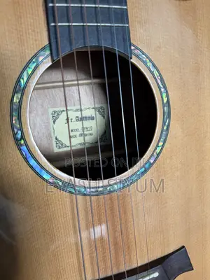Antonio Guitar With Full Accessories