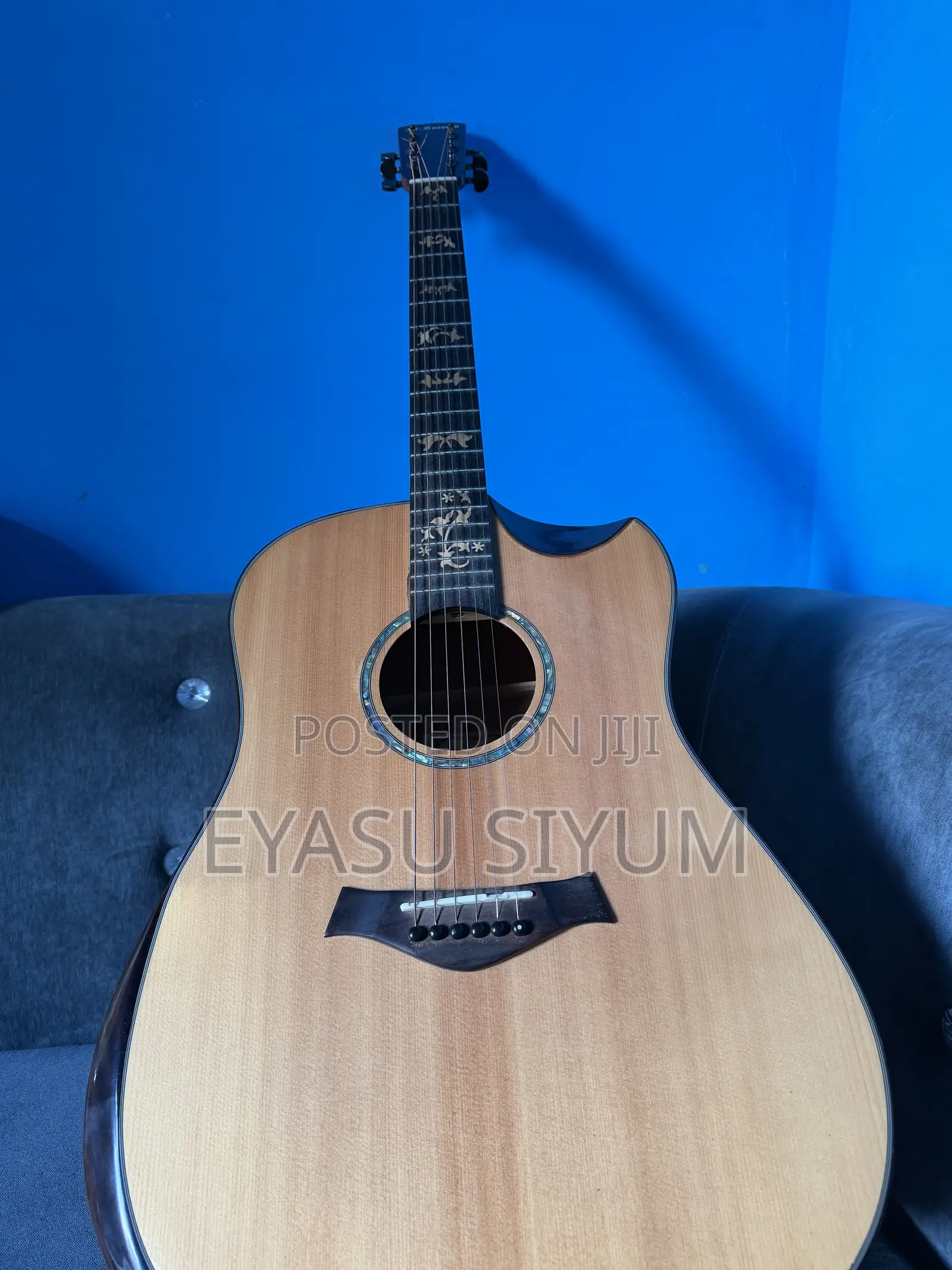 Antonio Guitar With Full Accessories