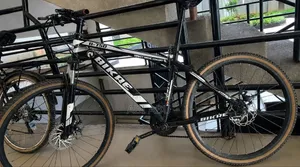 Bicycle Bike
