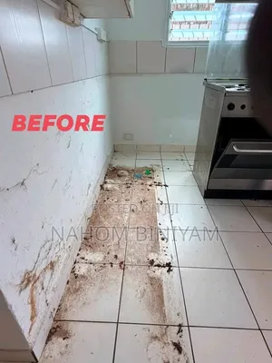 Cleaning Service