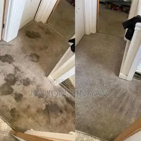 Carpet Cleaning Service