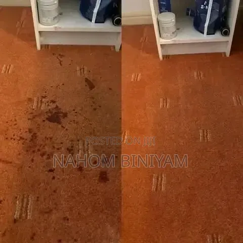 Carpet Cleaning Service