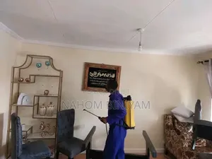 Home Cleaning Service