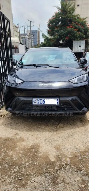 BYD Seagull 2024 Black