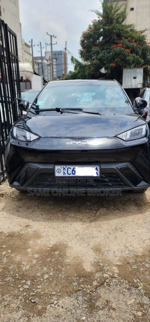 BYD Seagull 2024 Black