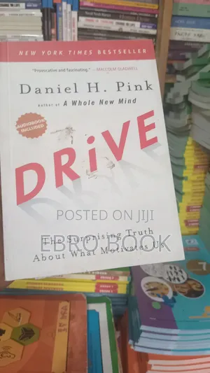 DRIVE(Daniel H.pink)