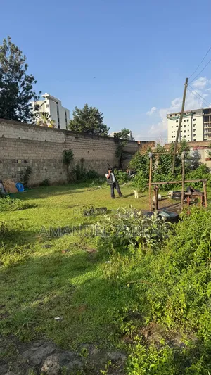 Land for Sela