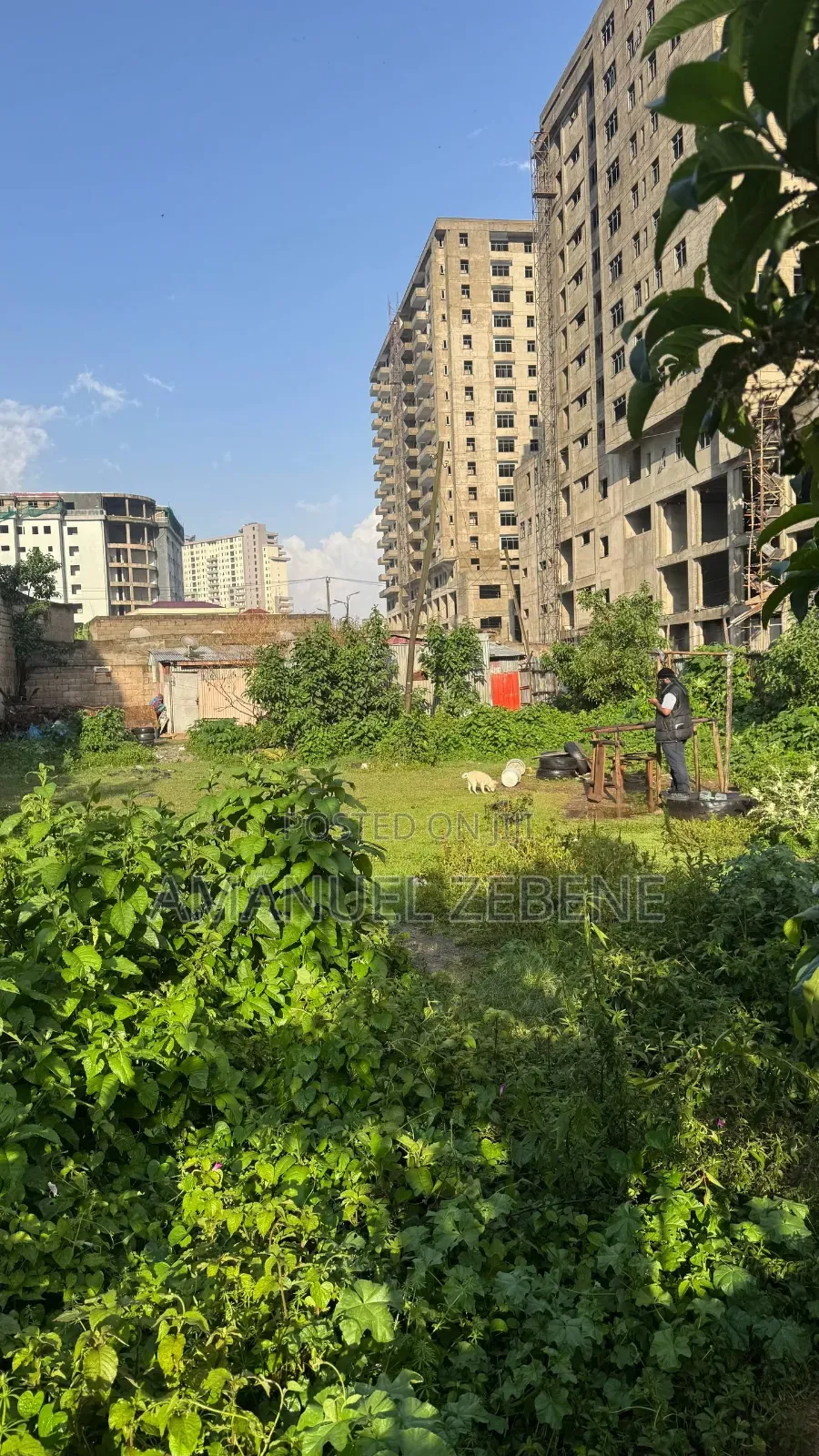 Land for Sela