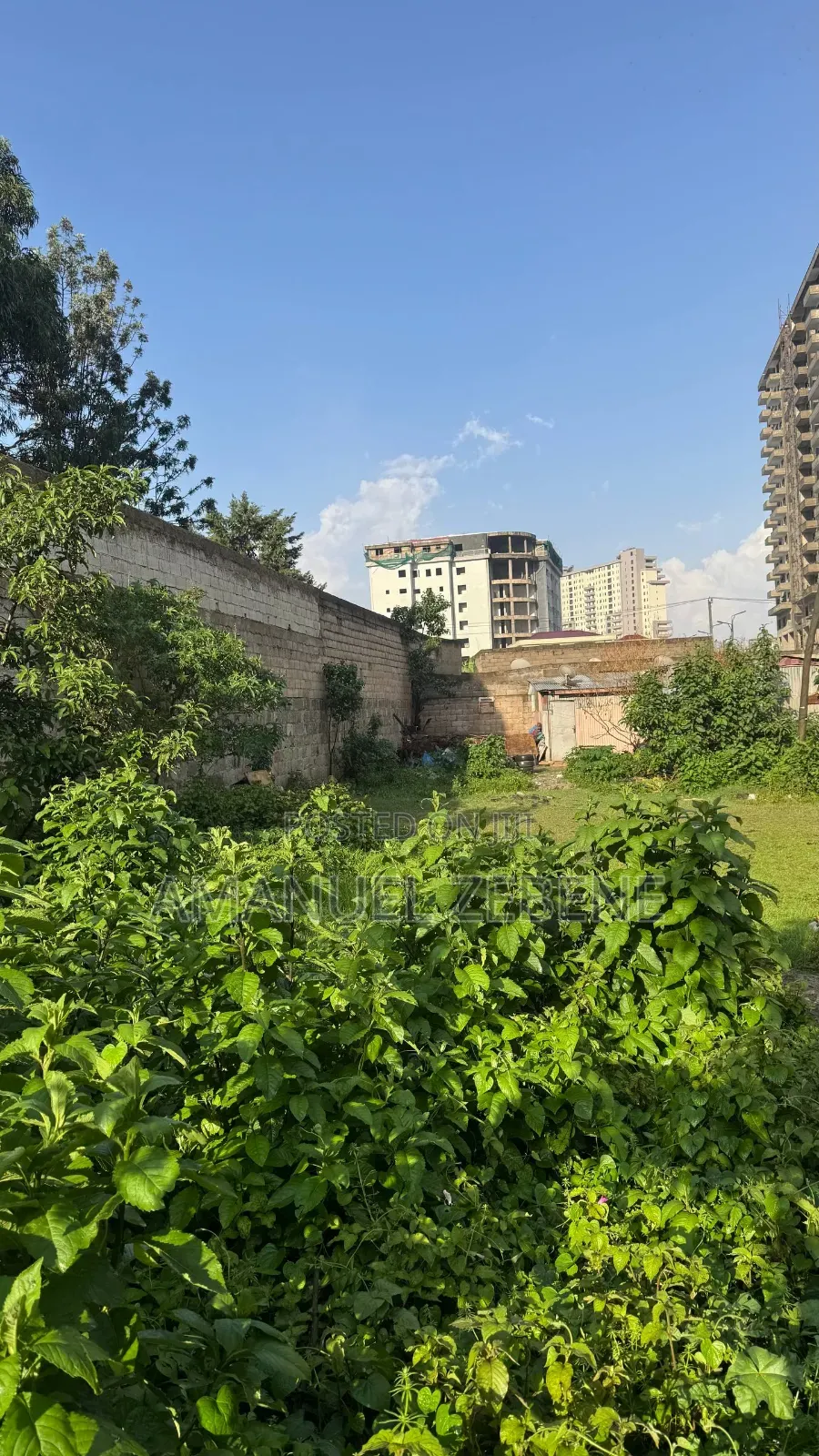 Land for Sela