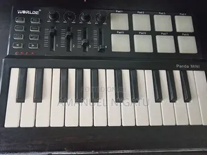 Panda Mini