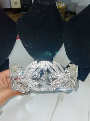 Elegant Crystal Bridal Tiaras Wedding Crowns (Set of 3)