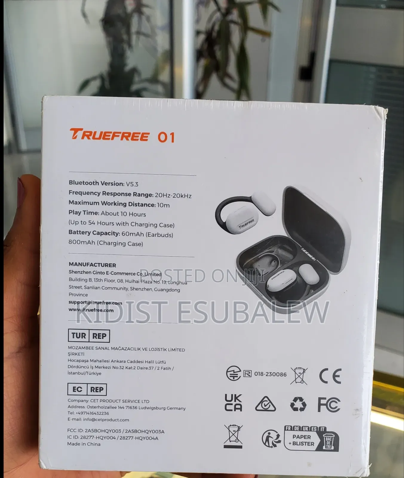 Truefree 01 Wireless Earbuds