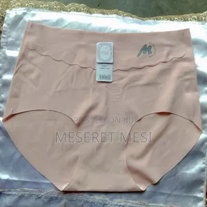 Women’s Seamless High-Waist Panty – Light Pink