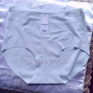 Women’s Seamless High-Waist Panty – Light Pink