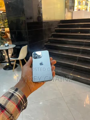 Apple iPhone 13 Pro 256 GB Gray