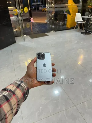 Apple iPhone 13 Pro 256 GB Gray