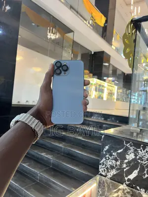 Apple iPhone 13 Pro Max 256 GB Silver