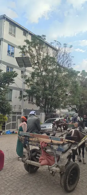 Furnished 1bdrm Condo in Bishoftu Dukem, East Shewa for sale
