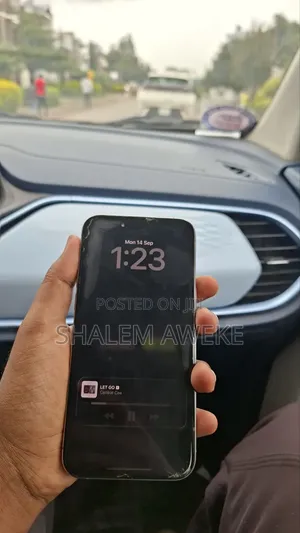 Apple iPhone 15 Pro Max 256 GB Silver