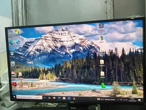 Dell Moniter