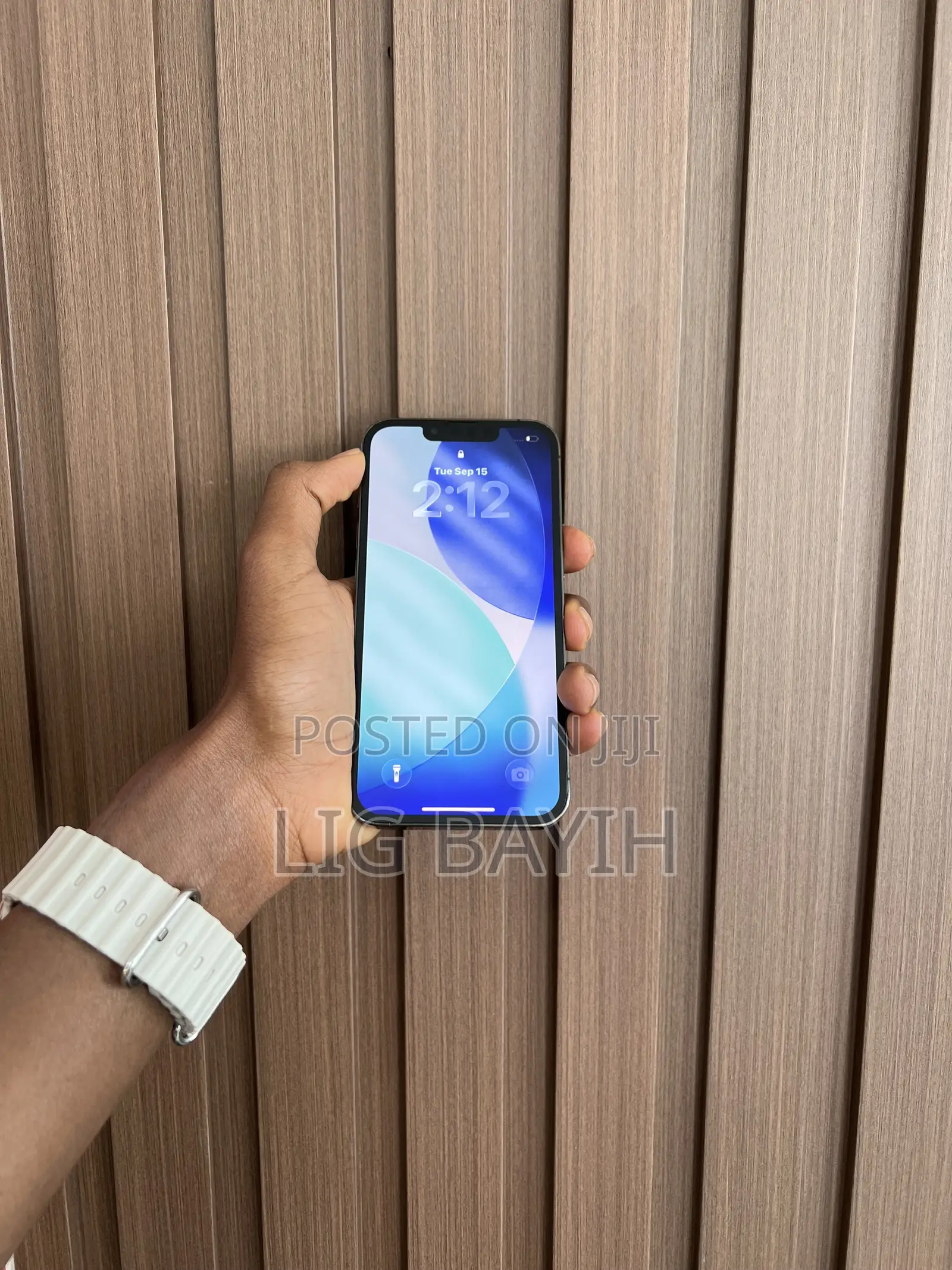 Apple iPhone 13 Pro 256 GB