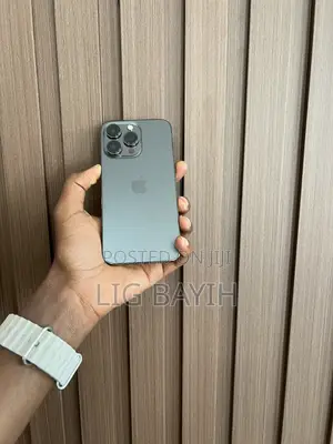 Apple iPhone 13 Pro 256 GB