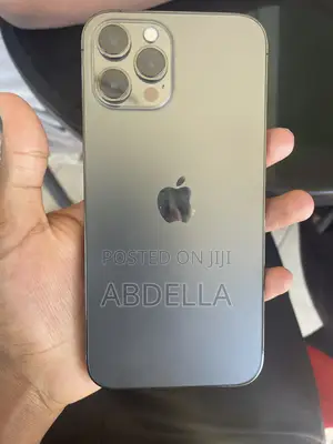 Apple iPhone 12 Pro Max 256 GB Silver