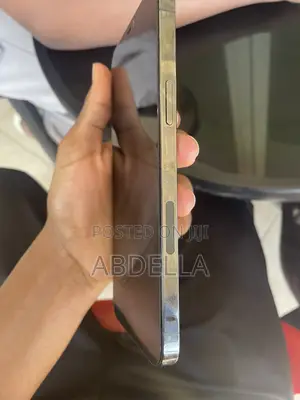 Apple iPhone 12 Pro Max 256 GB Silver