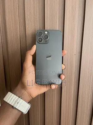 Apple iPhone 13 Pro Max 256 GB