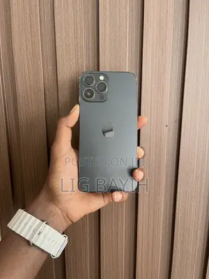 Apple iPhone 13 Pro Max 256 GB