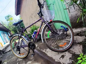 Bicycle ሳይክል