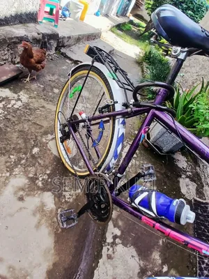 Bicycle ሳይክል