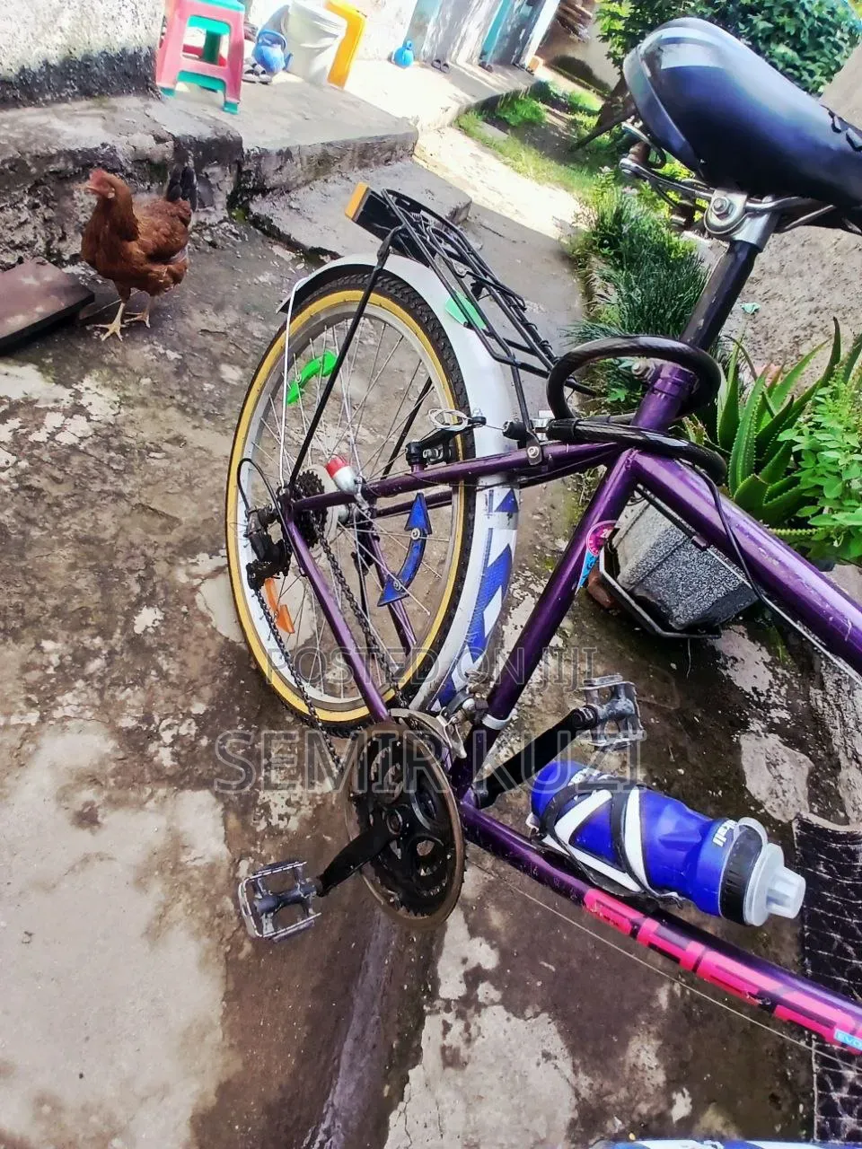 Bicycle ሳይክል