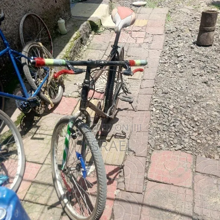 Used Phoenix Bike