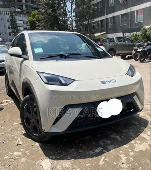 BYD Seagull 2025 White