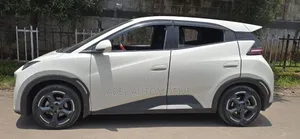 BYD Seagull 2023 White