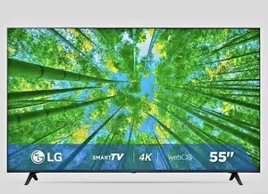 LG 55 Inch TV