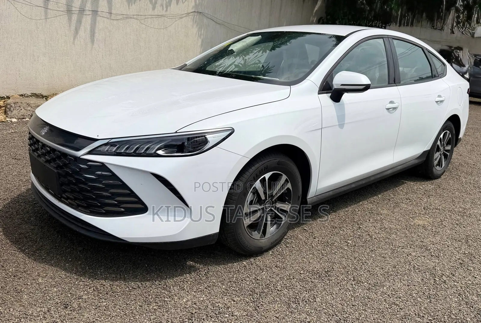 New BYD Qin Plus DM-i 2025 White