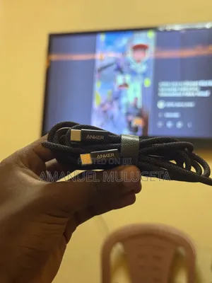 Original Anker Charger