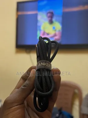 Original Anker Charger