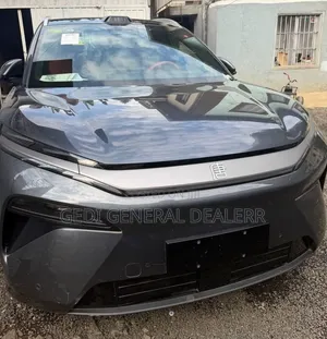 New BYD Tang EV 2025 Gray