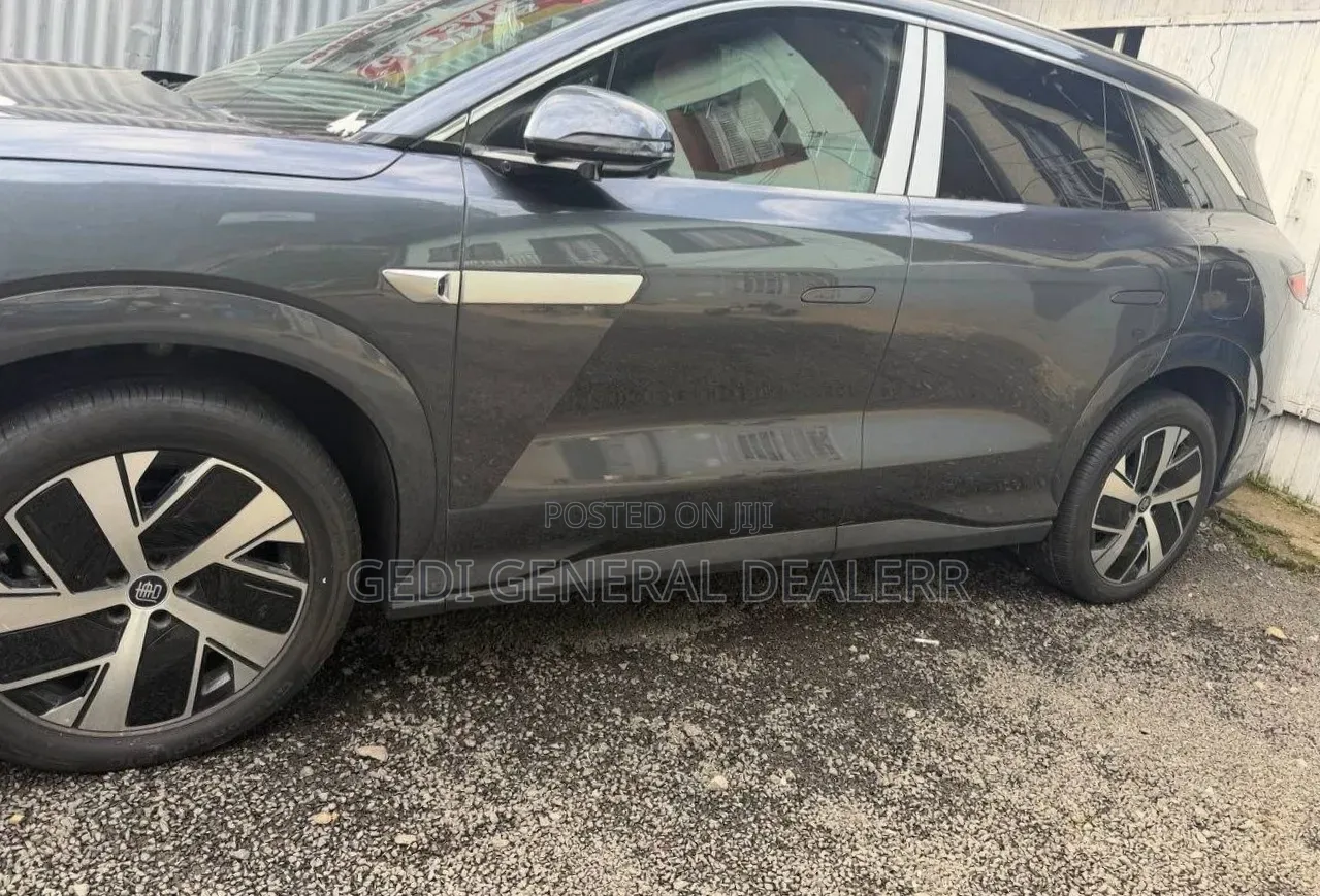 New BYD Tang EV 2025 Gray