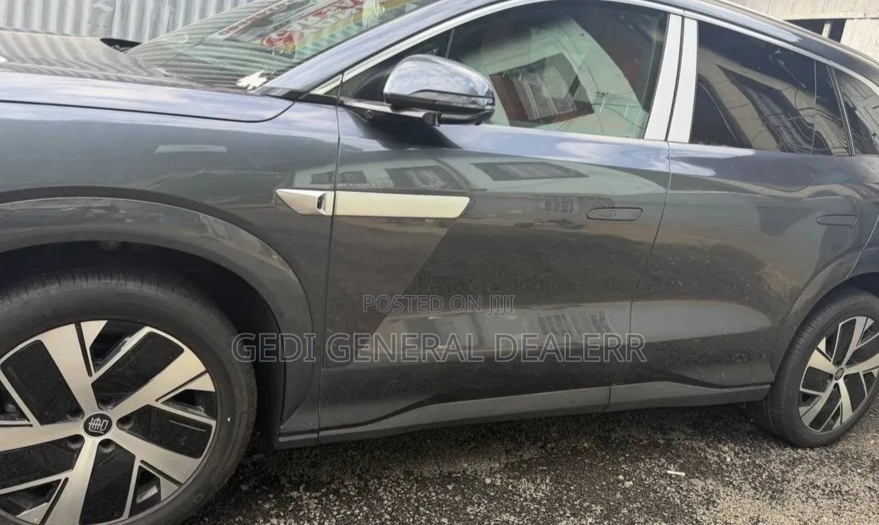 New BYD Tang EV 2025 Gray