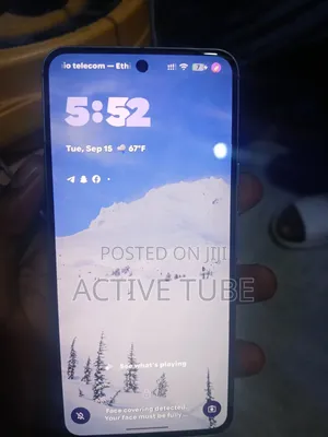 Google Pixel 8 256 GB Gray