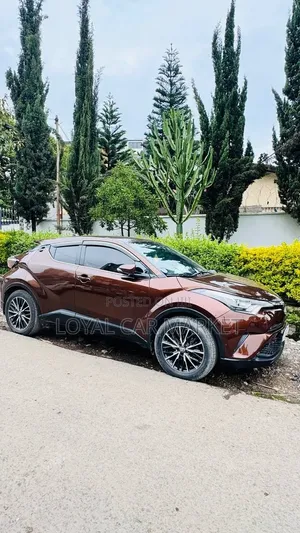 Toyota C-HR 2017 Brown