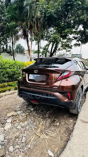 Toyota C-HR 2017 Brown
