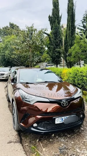 Toyota C-HR 2017 Brown