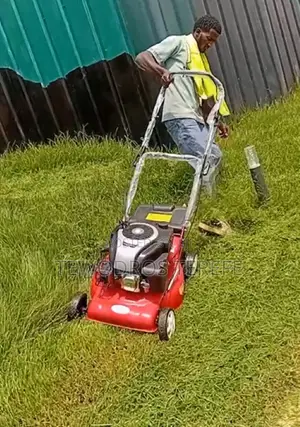 Landscaping Service
