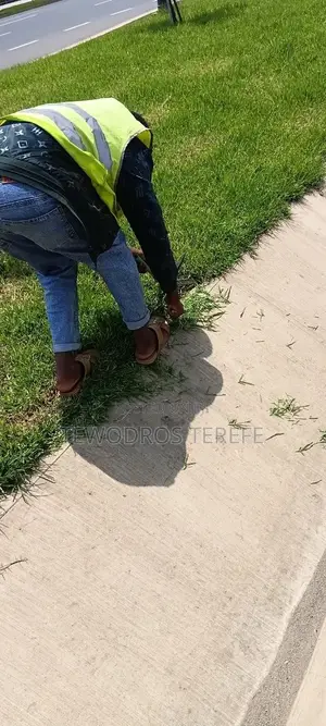 Landscaping Service